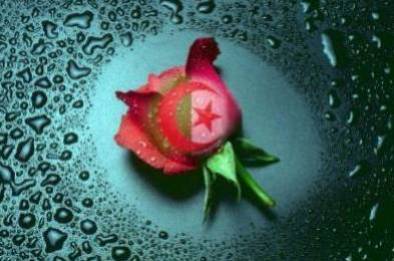 mon bled